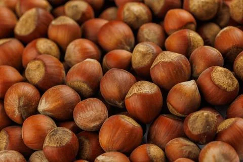 Pile of hazelnuts with shells full frame close-up background Stock Photos