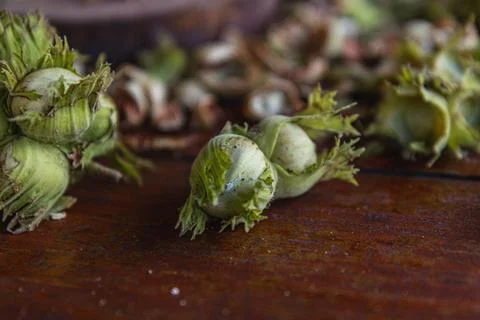 A pile of hazelnuts on a table outside Stock Photos