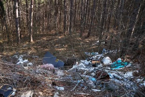 A pile of household garbage in a spring pine forest Stock Photos