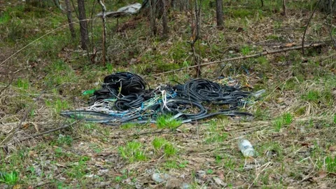 A pile of insulation from electrical wires, discarded by people in the forest. Stock Footage 308316847