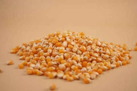 Pile of kernels on a flat surface in plain setting Stock Photos