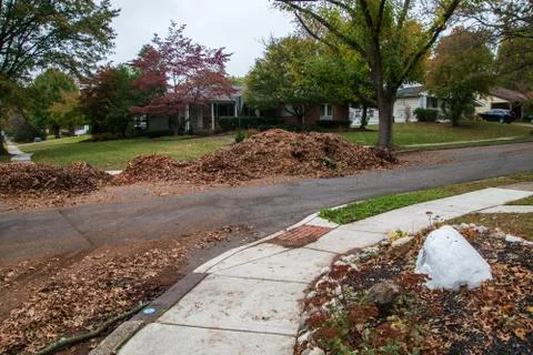 Pile of leaves Stock Photos