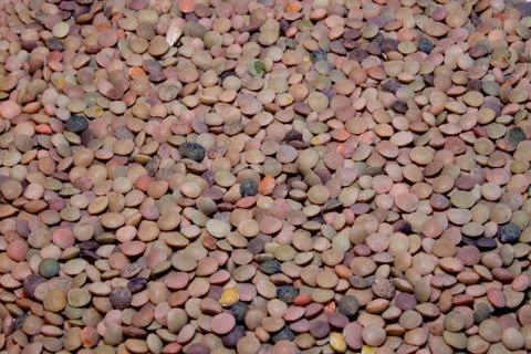 Pile of lentils Stock Photos