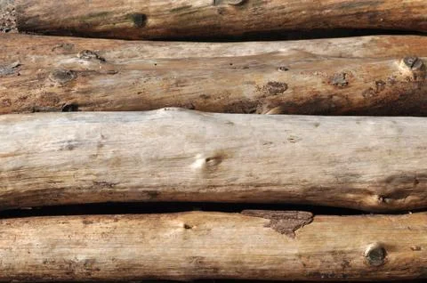 Pile of log Stock Photos