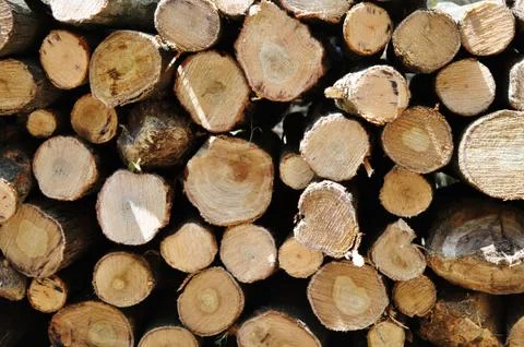 Pile of log Foto stock