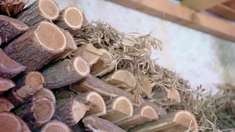 Pile of logs and some dry olive tree branches in storehouse, preparation of Stock Footage 261087643