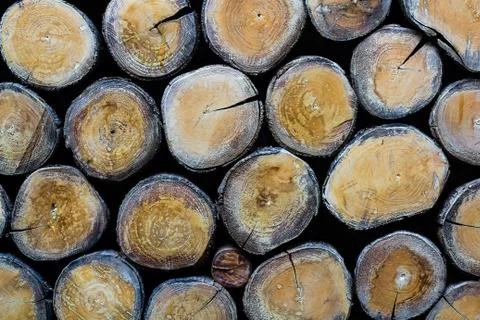 Pile of Logs Background Stock Photos