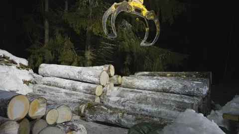 The pile of logs on the forest ground Stock Footage 151406336