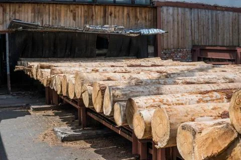 A pile of logs lie on a forest platform, a sawmill. Processing of timber at the Stock Photos