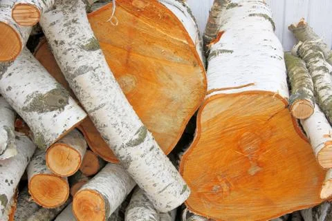 Pile of logs. Stock Photos