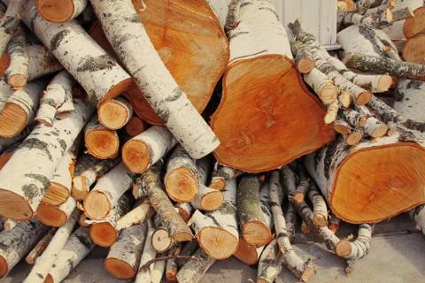 Pile of logs. Stock Photos