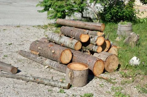Pile of logs Stock Photos
