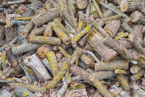 Pile of logs Stock Photos