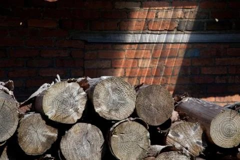 A pile of logs Stock Photos