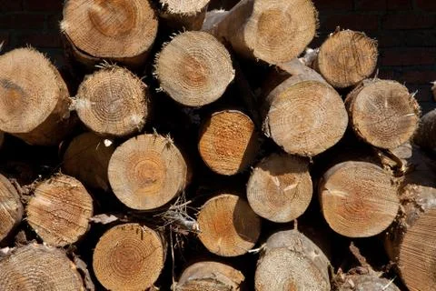 A pile of logs Stock Photos