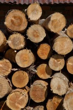 A pile of logs Stock Photos