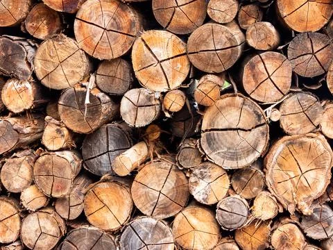 A pile of logs Stock Photos