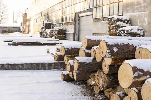 A pile of logs on a sawmill under the layer of snow in the winter season. Stock Photos