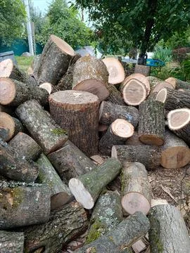 A pile of logs sitting on top of a pile of wood Stock Photos