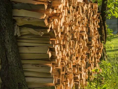 Pile of logs in the sun Stock Photos