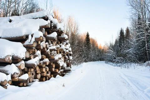 The pile of logs in winter Stock Photos