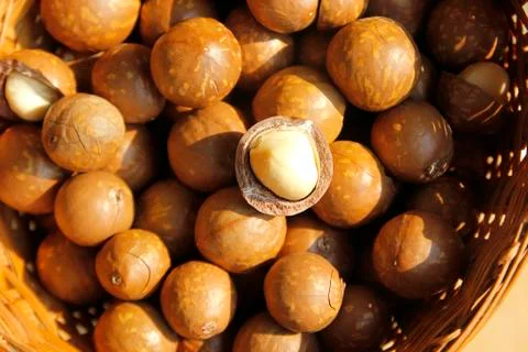 Pile of macadamia nuts  in basket Stock Photos