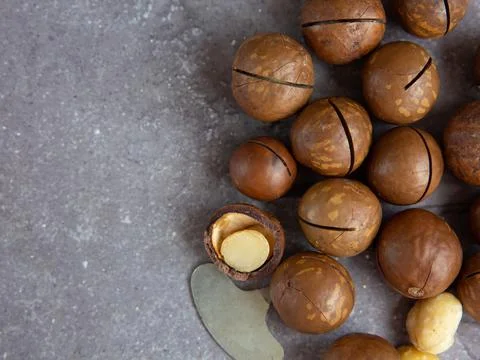 Pile of macadamia nuts close up on gray concrete background, copy space Stock Photos