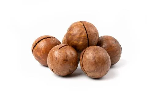 A pile of macadamia nuts in close - up isolated on a white background. Stock Photos