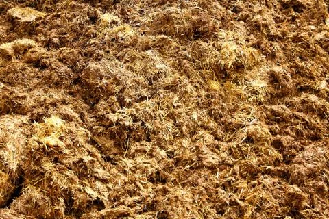 Pile of manure as background Stock Photos