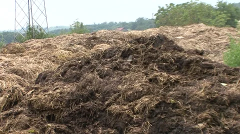 A pile of manure Stock Footage 41127621