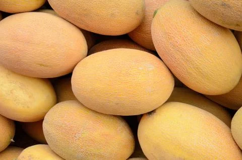 Pile of melons Stock Photos