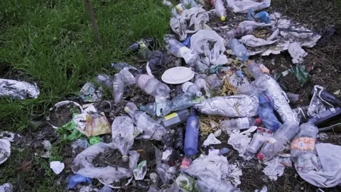 Pile of Mixed Garbage and Plastic Waste Lying on Grass in Forest Stock Footage 322108894
