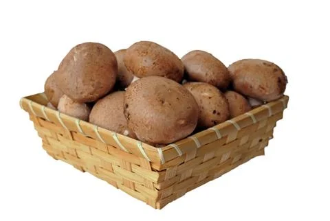 A pile of mushroom Stock Photos