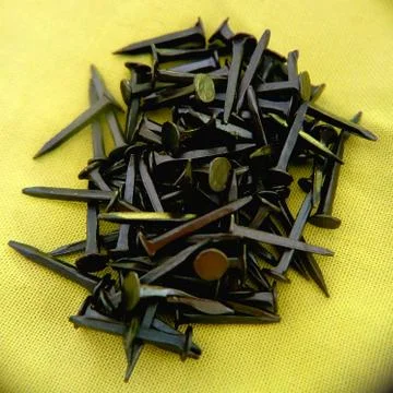 Pile of nails for woodwork isolated Stock Photos