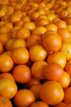 Pile of navel oranges Stock Photos