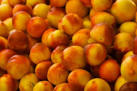 Pile of nectarines horizontal Stock Photos