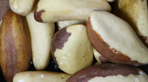 Pile nuts Brazil nut close up Stock Footage 62311614
