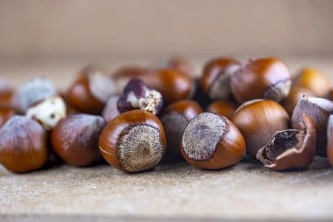 A pile of nuts, including almonds, walnuts, and hazelnuts Stock-Fotos