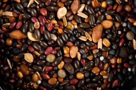 Pile of nuts Stock Photos