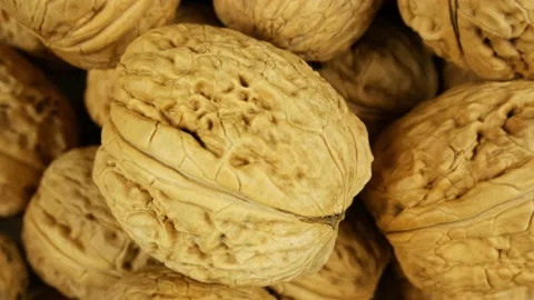 A pile of nuts in shell rotate, camera focuses on one nut. Close up top view Stock Footage 181598086