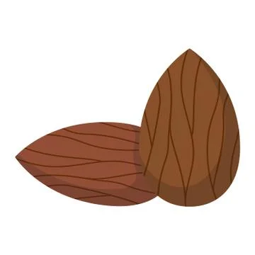 Pile of nuts vector illustration Stock Illustration