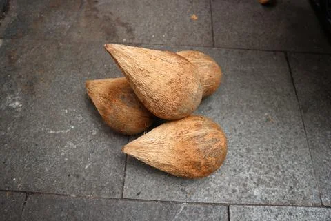 Pile of old dry coconuts Stock Photos