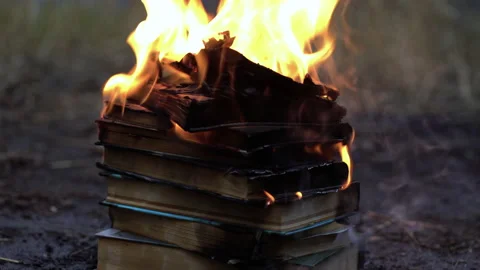 A pile of old waste paper is burning on a fire. Burning books background. Видео 210845656