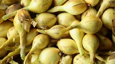 Pile of onion in closeup 库存影片 125461927