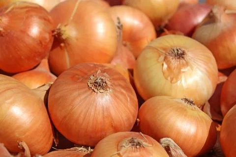 Pile of onions Stock Photos
