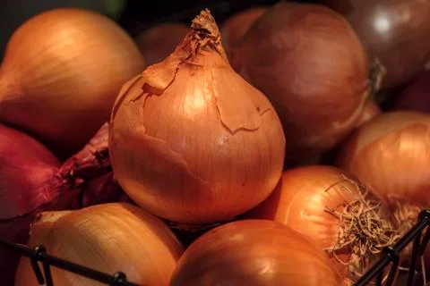Pile of onions Stock Photos