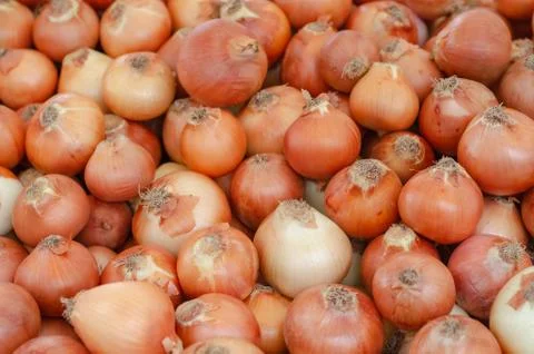Pile of onions Stock Photos