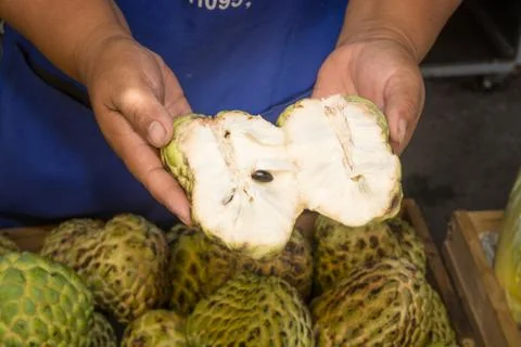 Pile or Stack or Custard Apple, Sugar-apple, natural Tropical America Sweet a Stock Photos