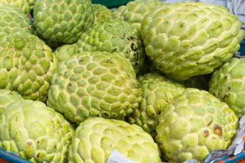 Pile or Stack or Custard Apple, Sugar-apple, natural Tropical America Sweet a Stock Photos