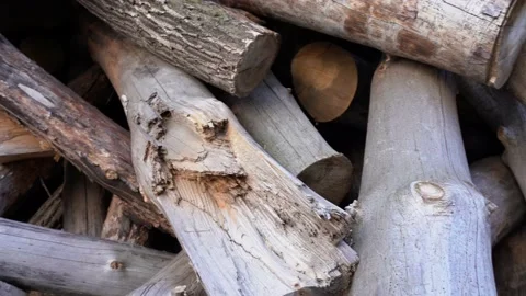 Pile or stack of organic tree firewood laying on ground outdoors Stock Footage 157897689